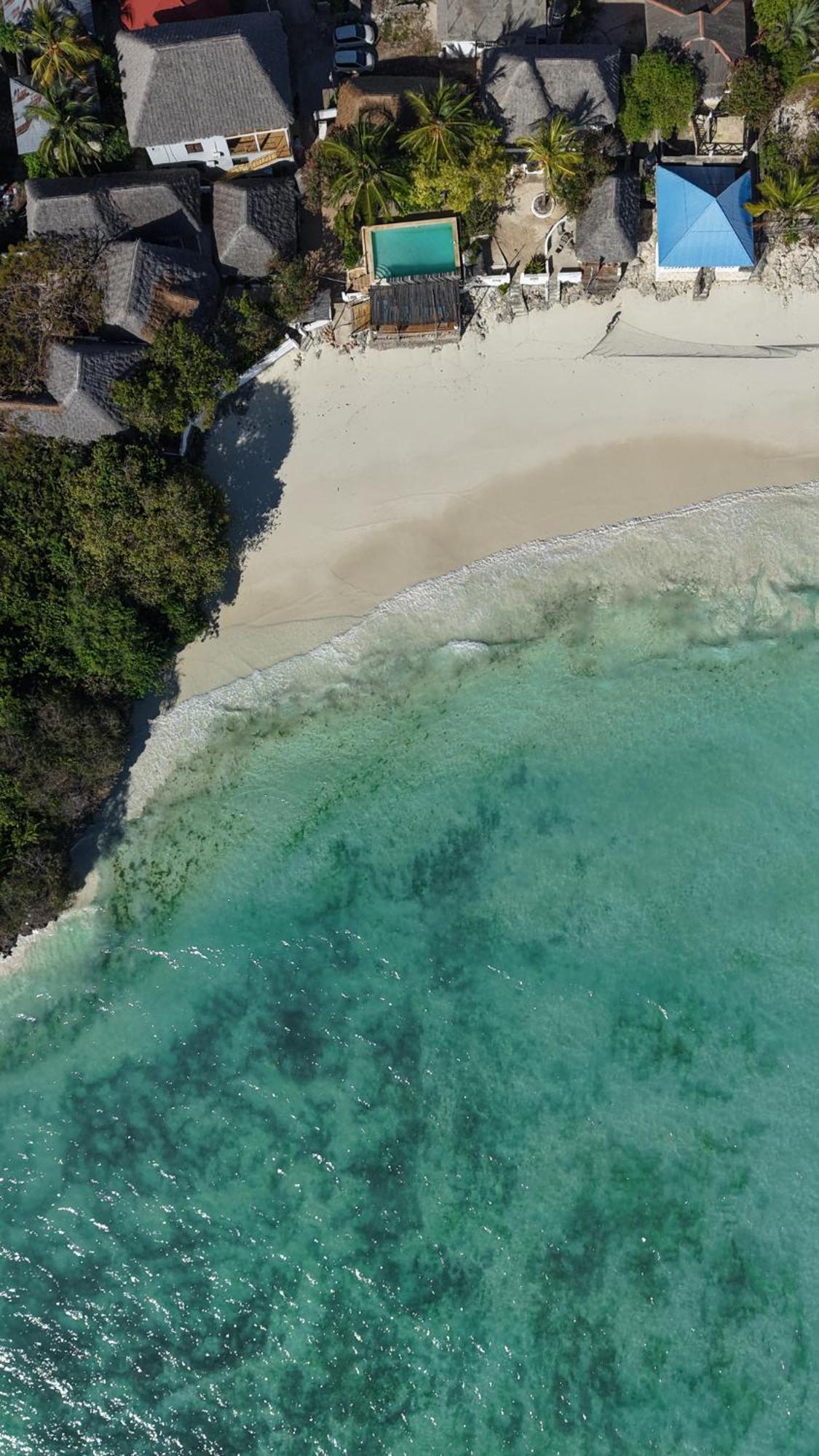 Red Monkey Beach Lodge Джамбиани Екстериор снимка
